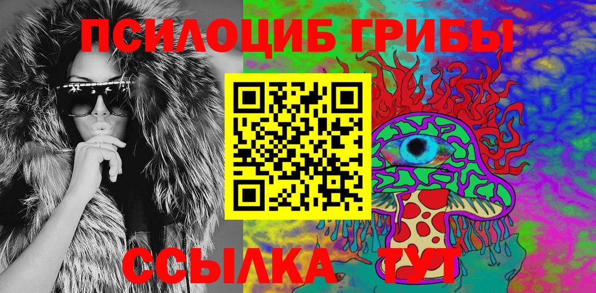 Кинель  цена наркотик  Вход с VPN  Псилоцибиновые грибы Cubensis 