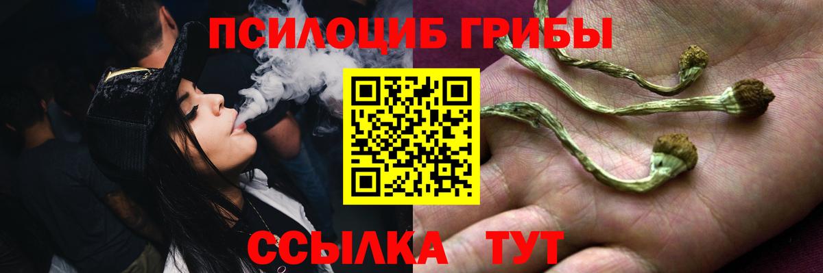 Галлюциногенные грибы ЛСД Кинель